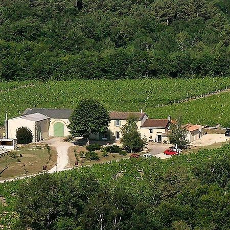 Domaine De Grand Homme Ξενοδοχείο Μπορντό Εξωτερικό φωτογραφία