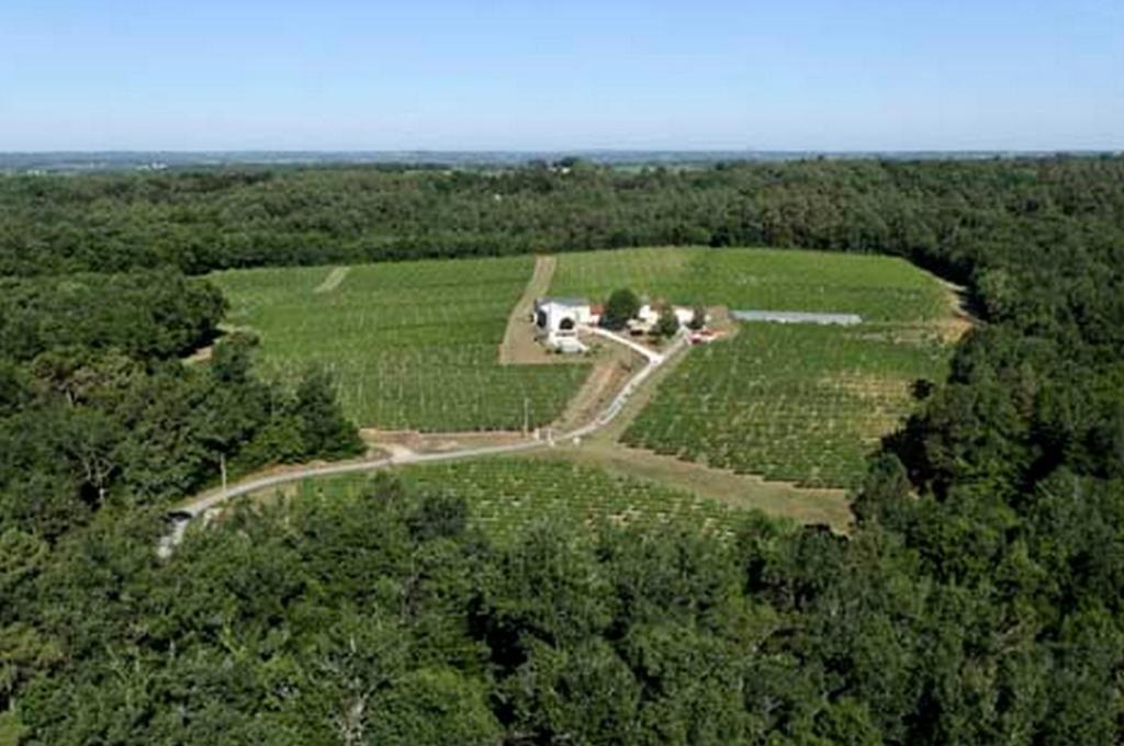 Domaine De Grand Homme Ξενοδοχείο Μπορντό Εξωτερικό φωτογραφία